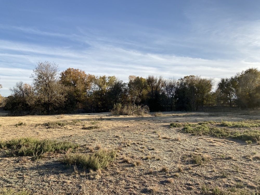 Land For Sale: 8020 Us Hwy 287, Childress, TX 79201